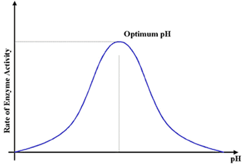 Enzyme pH Graph